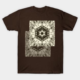 Sepia jewelled kaleidoscope splendor T-Shirt